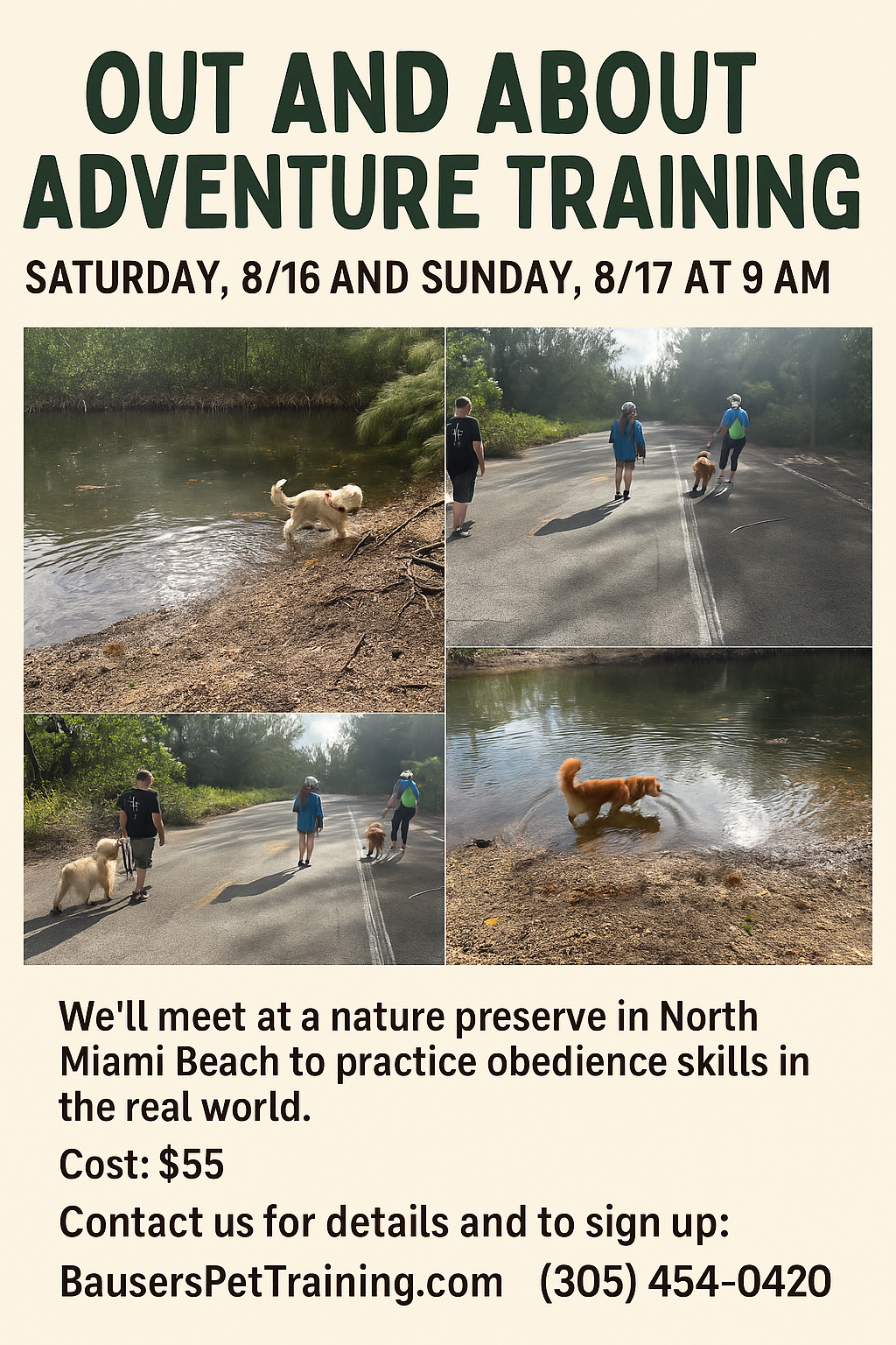 Adventure Training