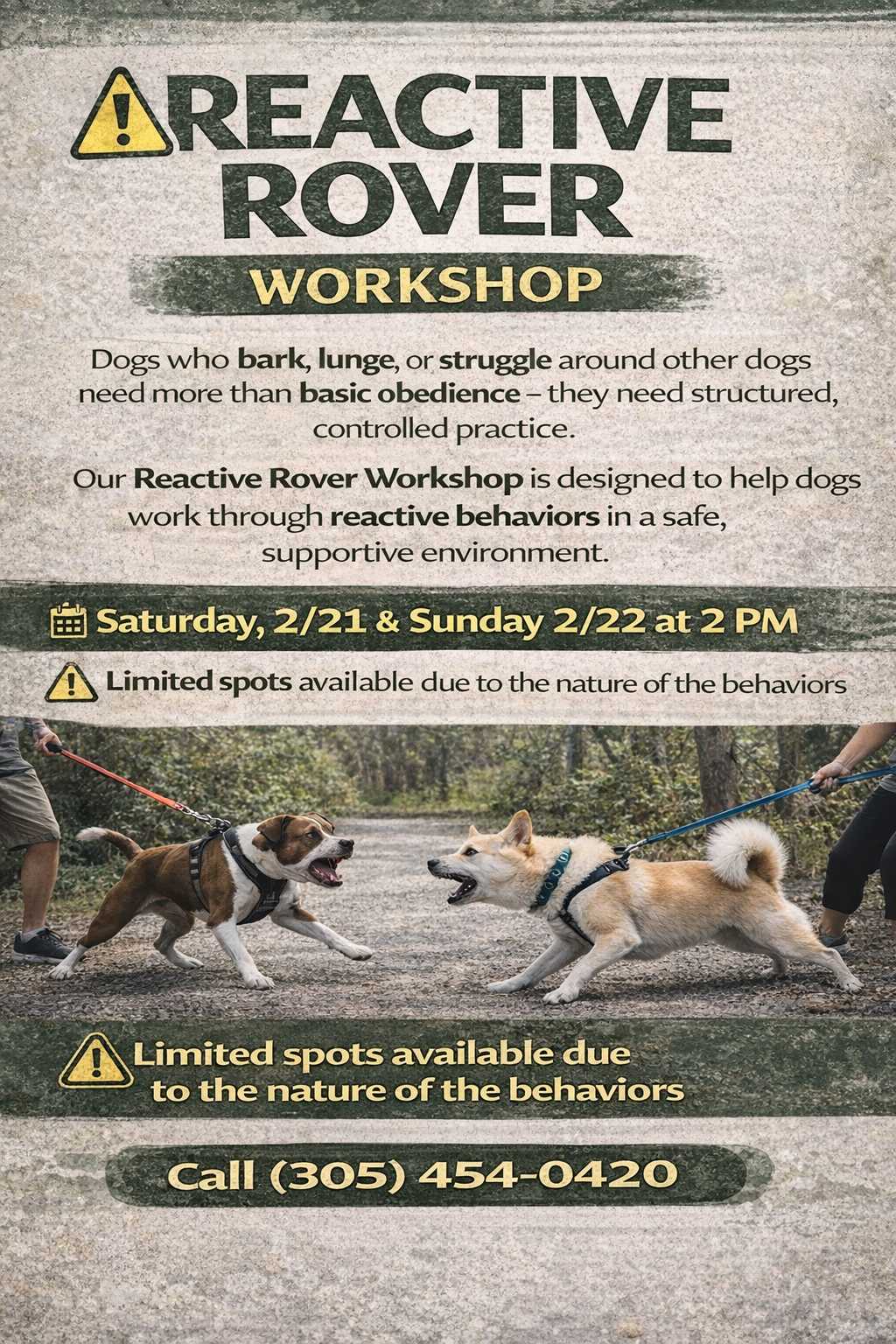 Reactive Rover Workshop