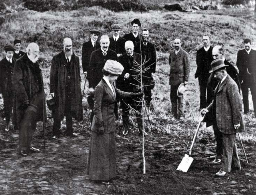 Screenshot 2025-10-13 095923.png