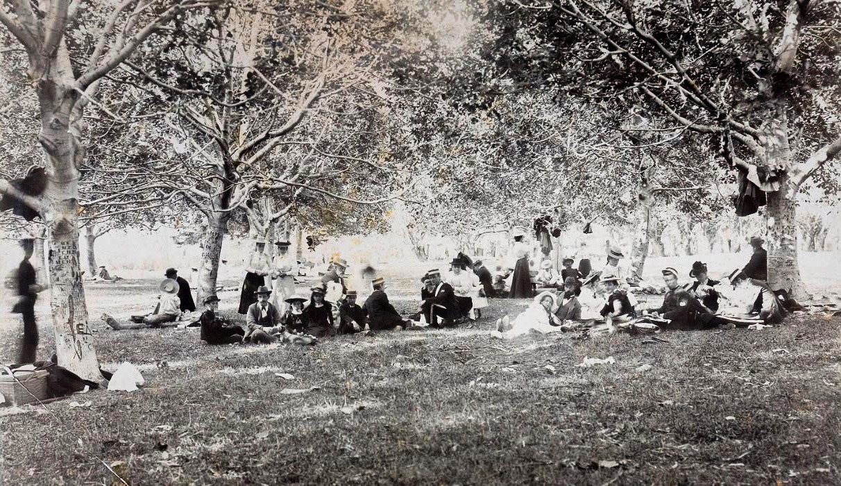 Hagley Trees and people.jpg