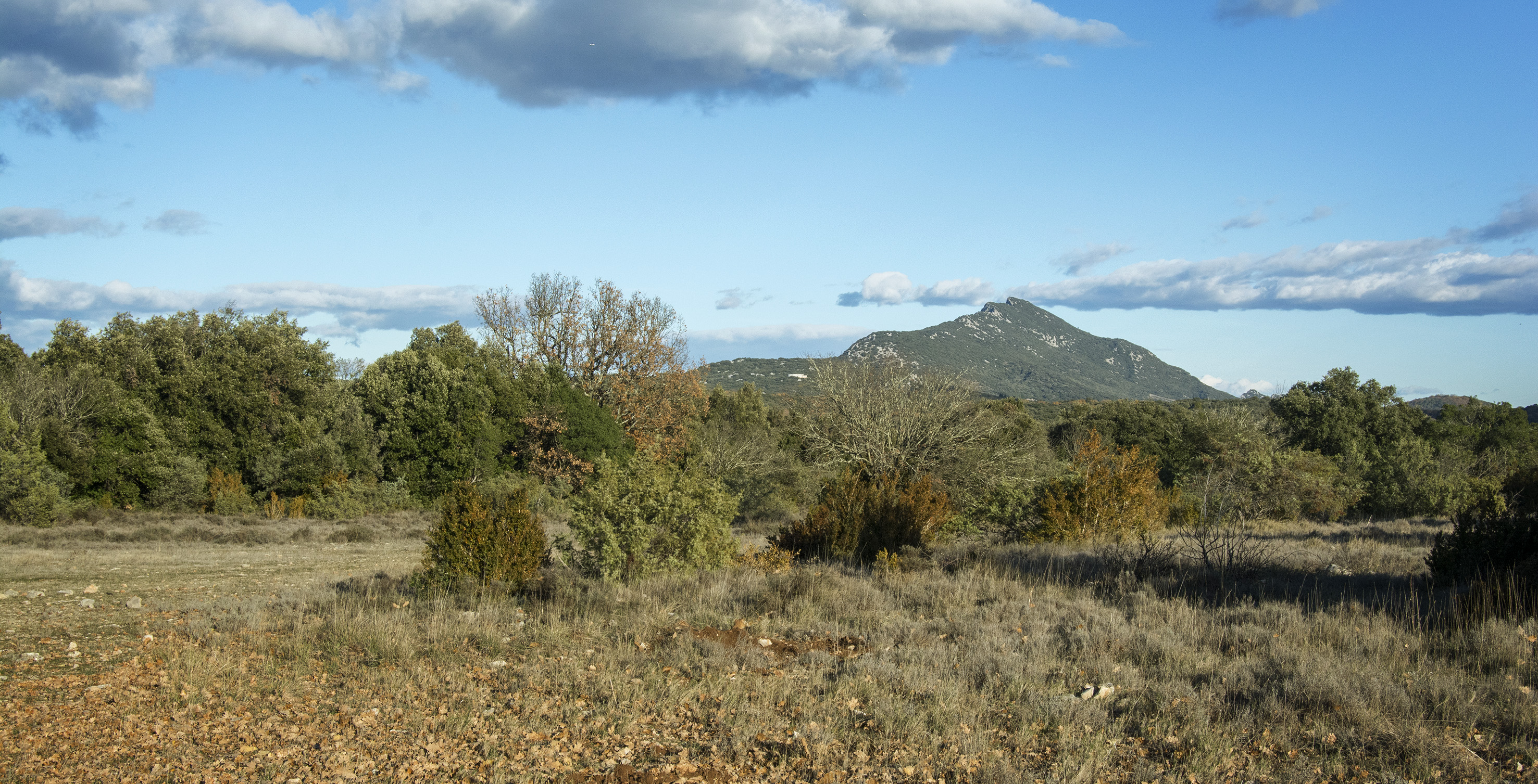 Balades en archéologie