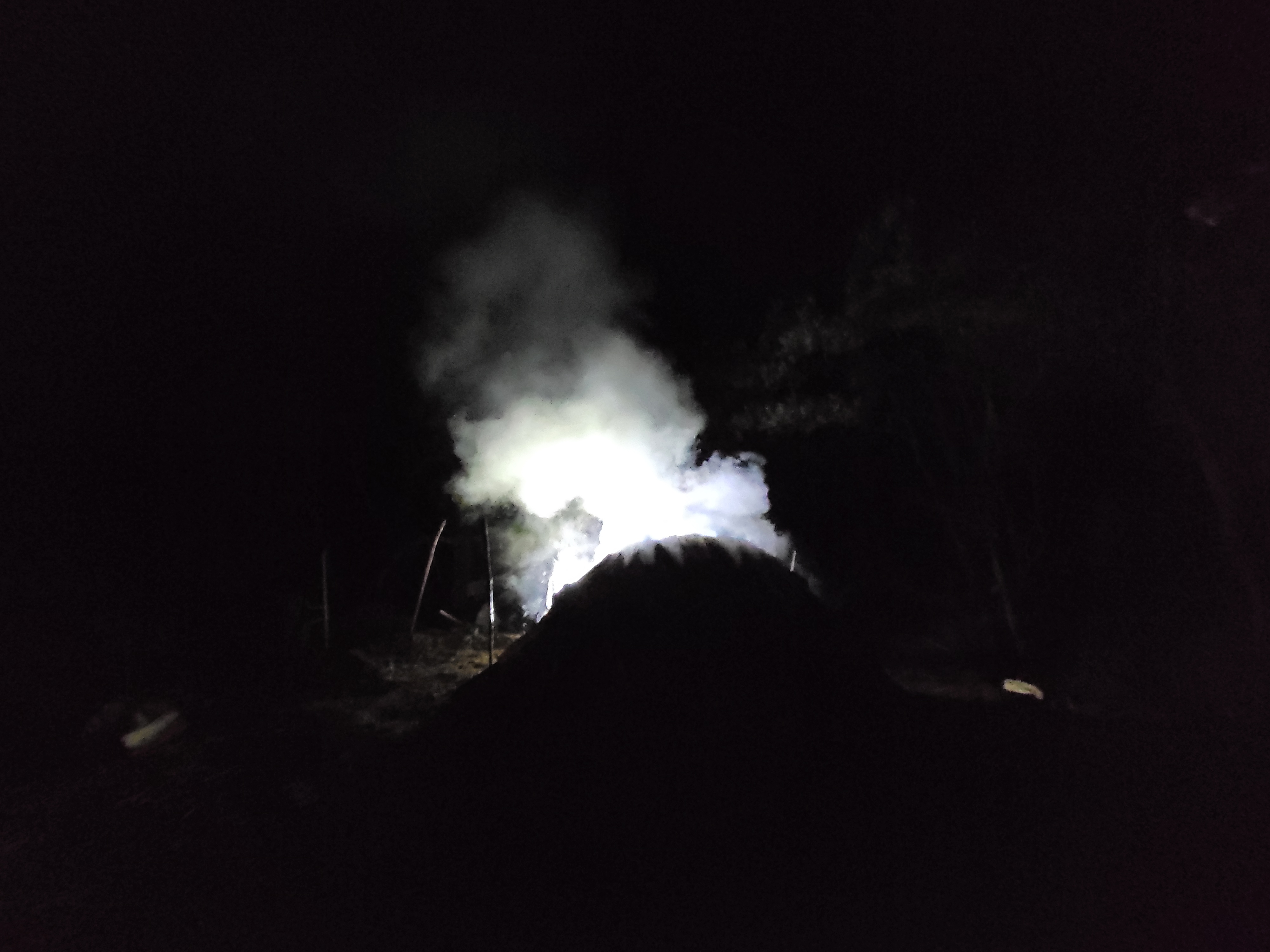 Reconstitution d'une charbonnière des garrigues et protocole expérimental