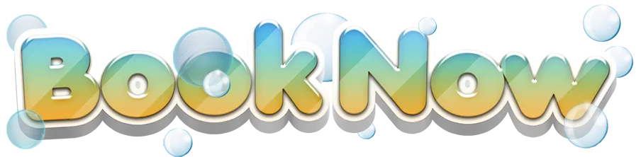 Tokyo Cleaner book now