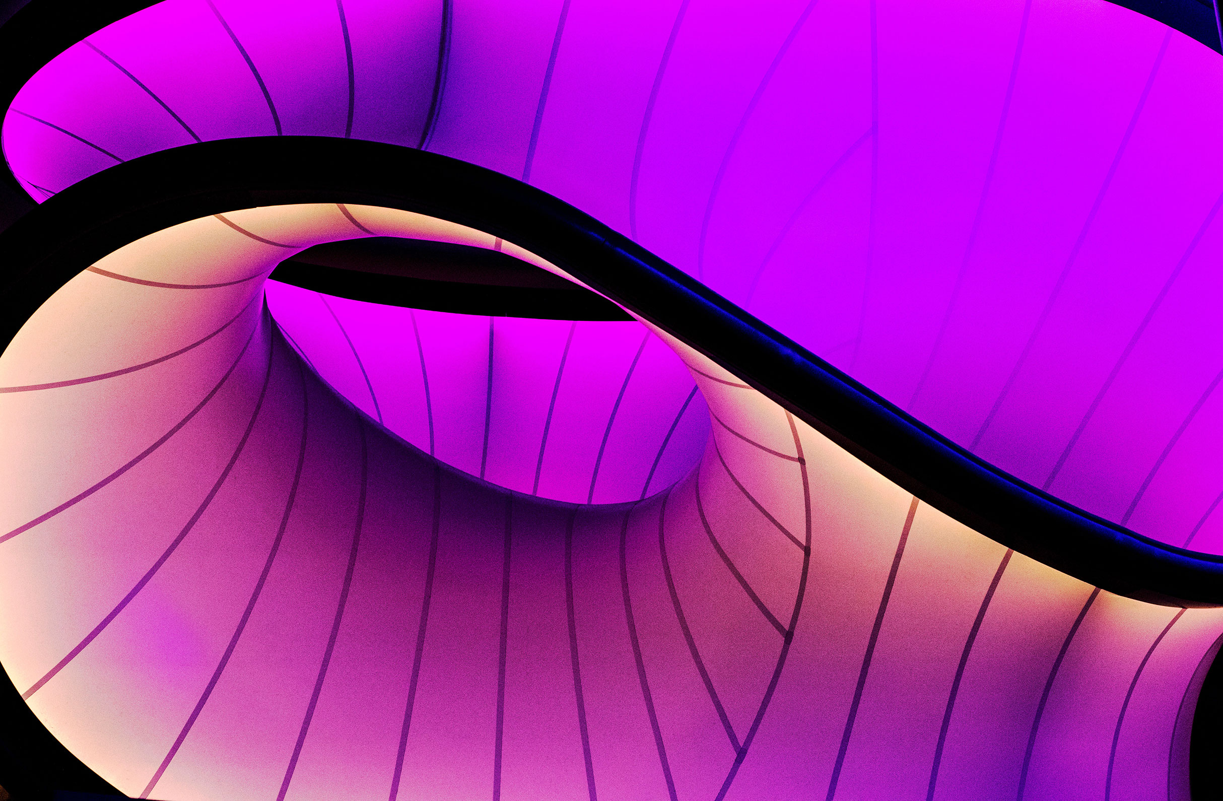 Pink abstract art