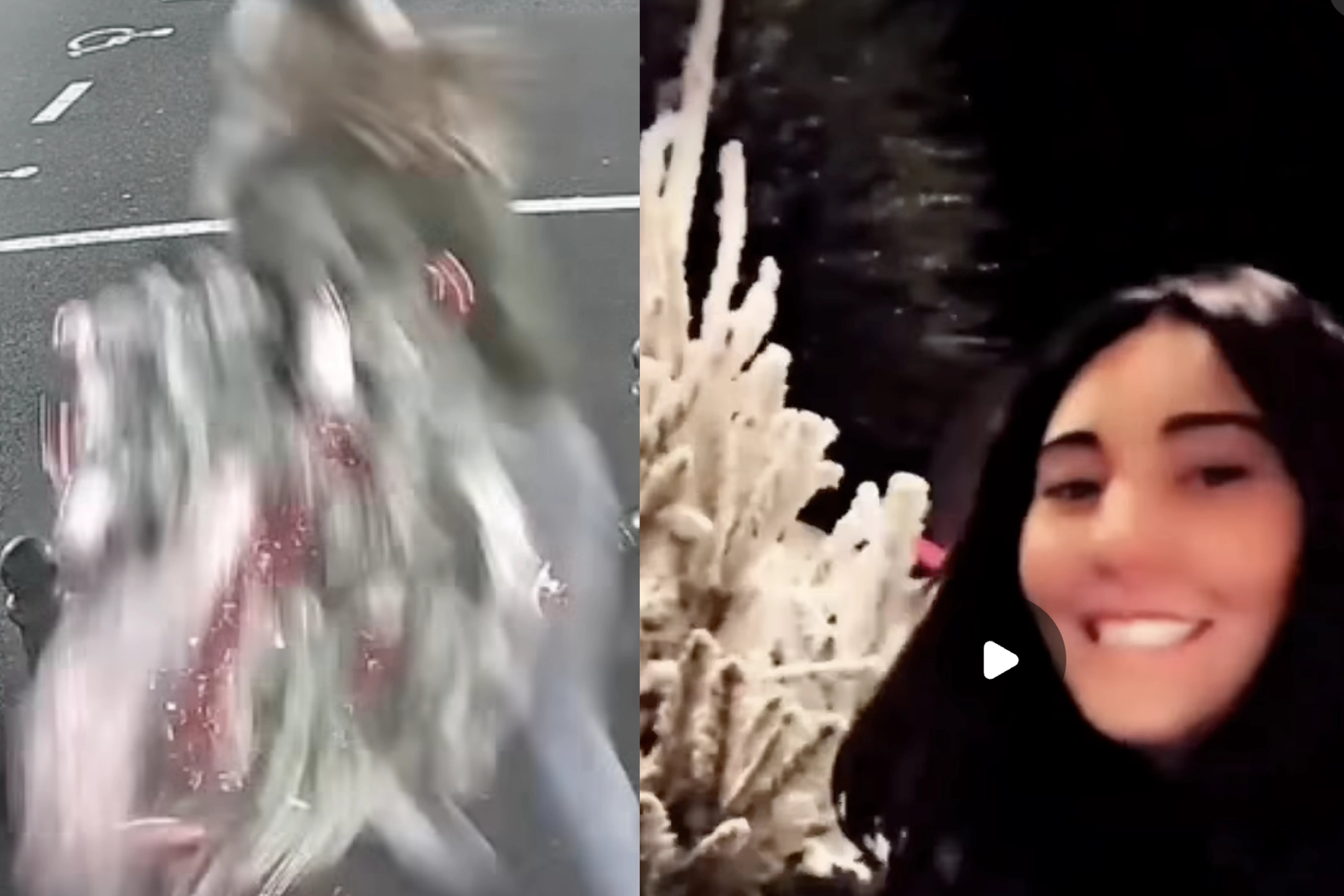 Buzz sur les réseaux : la vidéo d’une femme qui vole un sapin de Noël