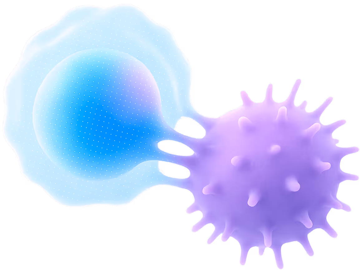 EASYGEN Illustration of a CAR-T cell engaging with a cancer cell, representing targeted immunotherapy.