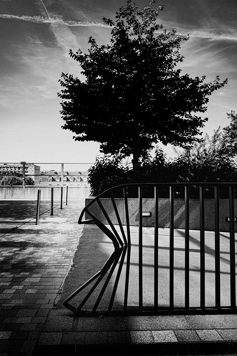 Photo Xavier Lewis