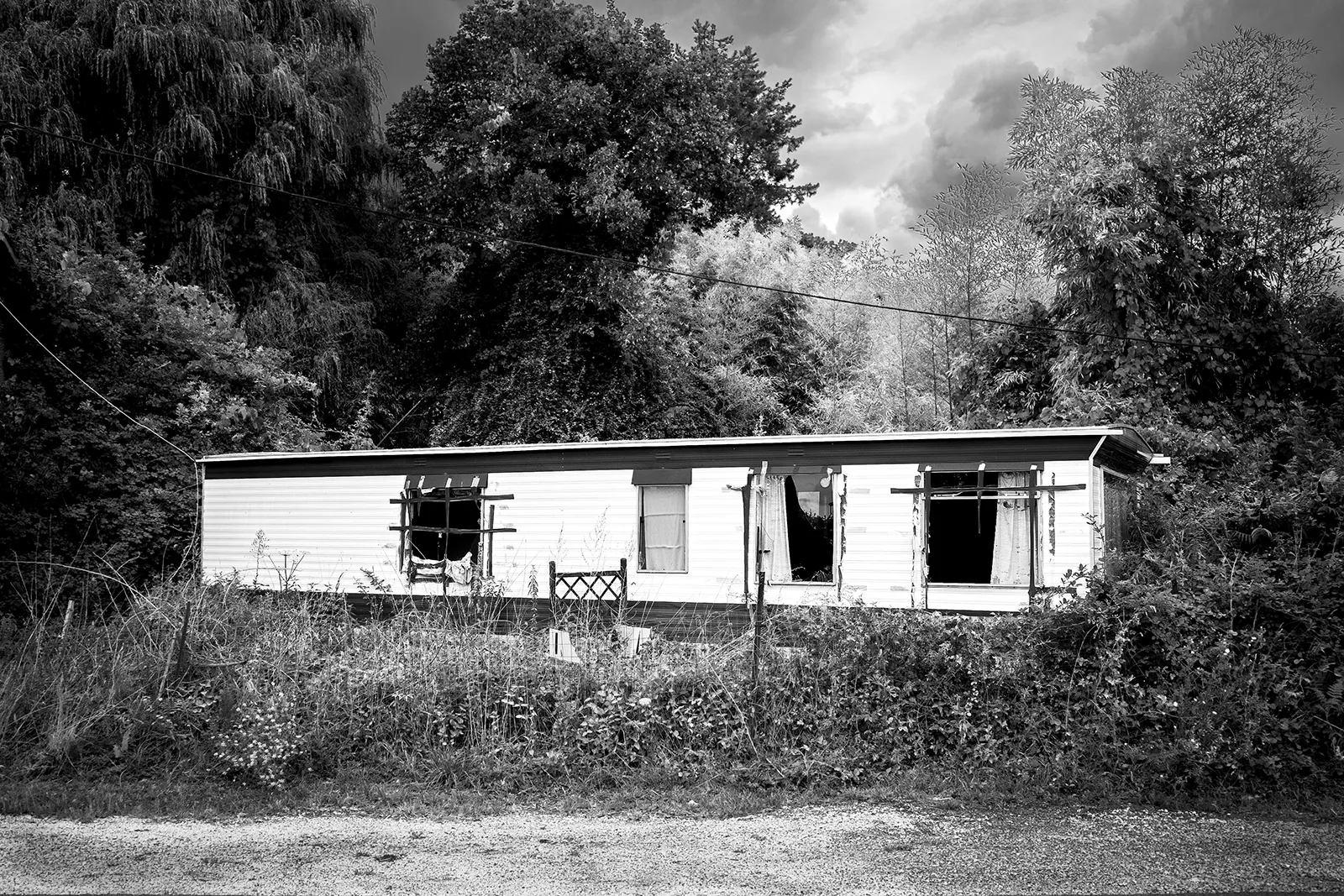 Photo Xavier Lewis