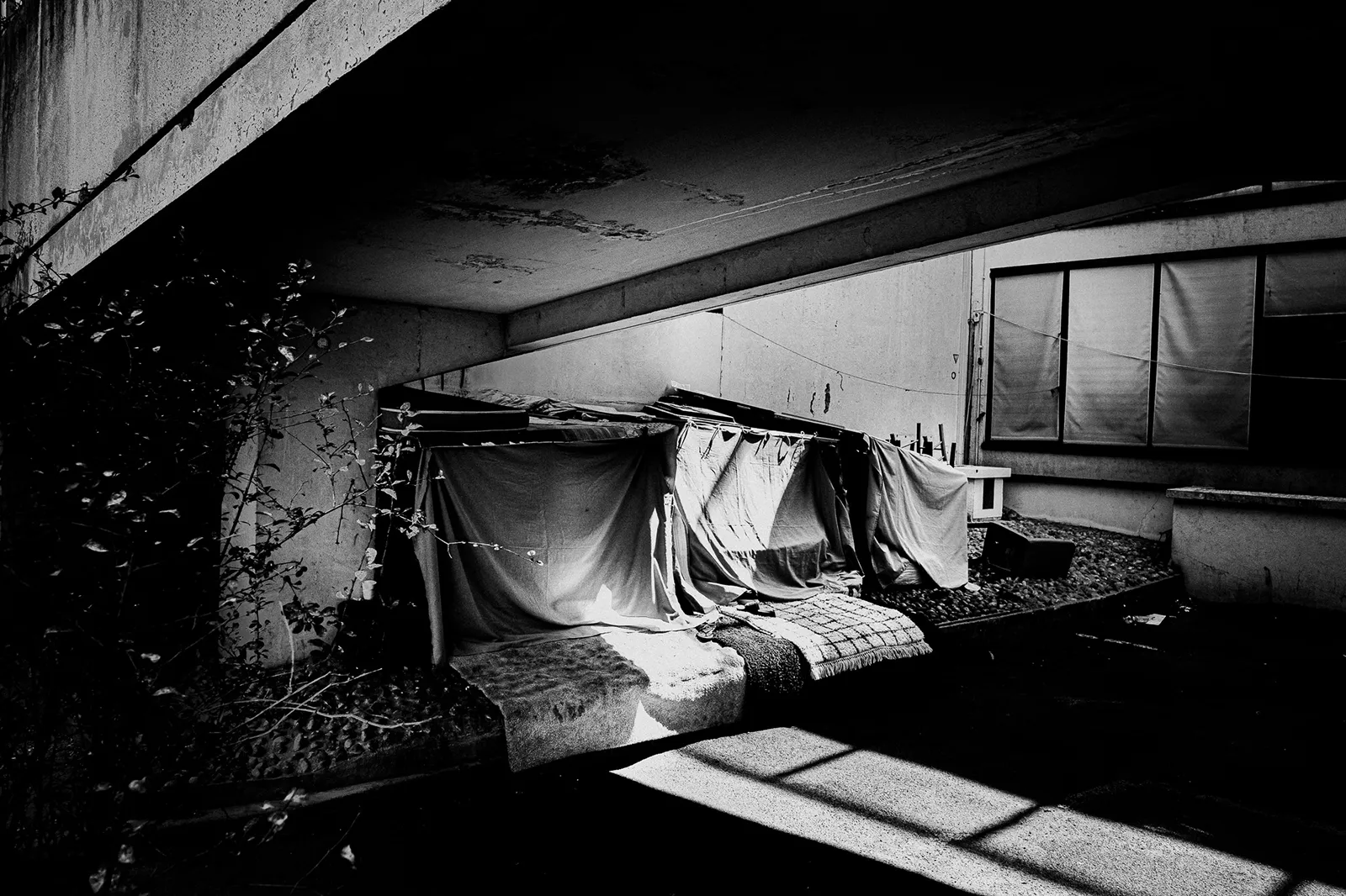 Photo Xavier Lewis