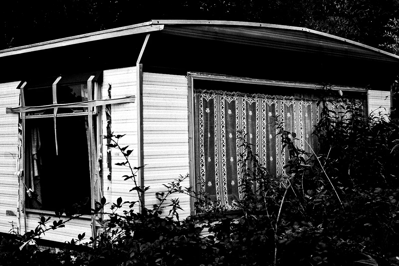 Photo Xavier Lewis
