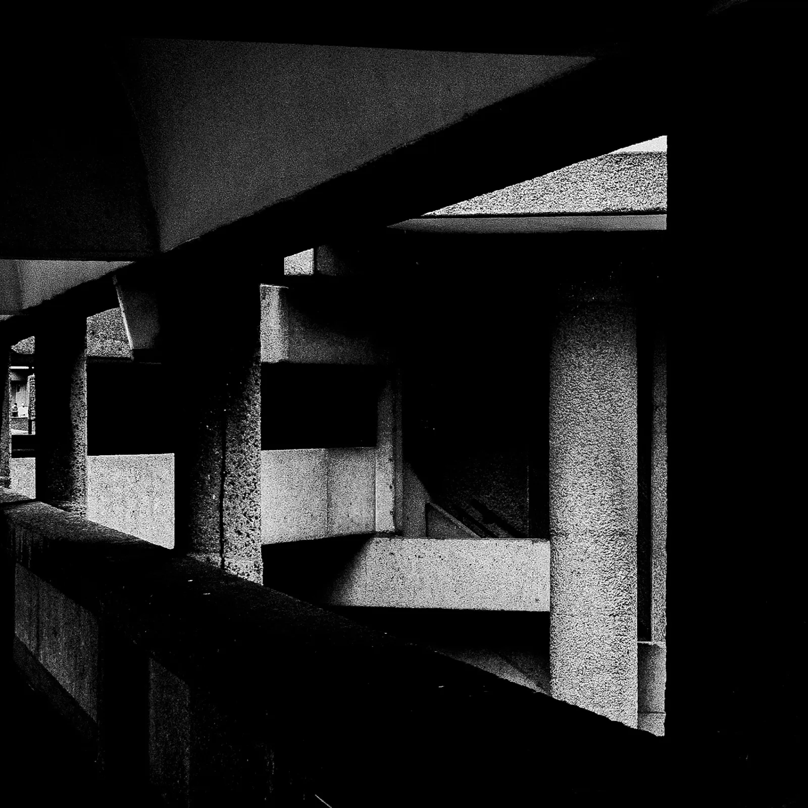 Photo Xavier Lewis