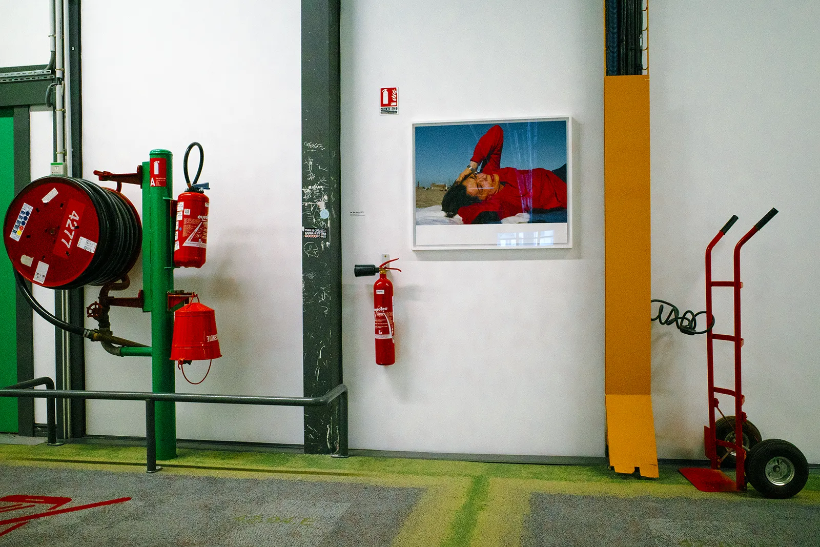 Photo Xavier Lewis