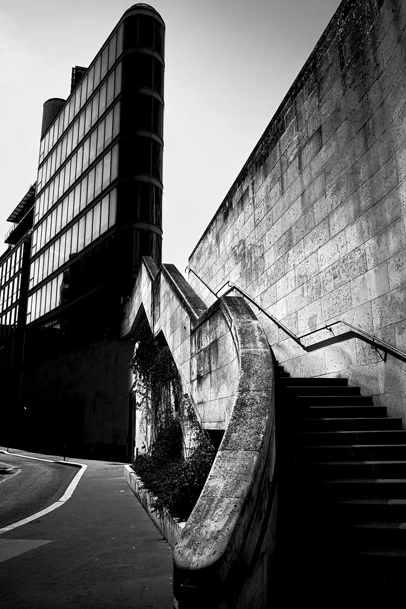 Photo Xavier Lewis