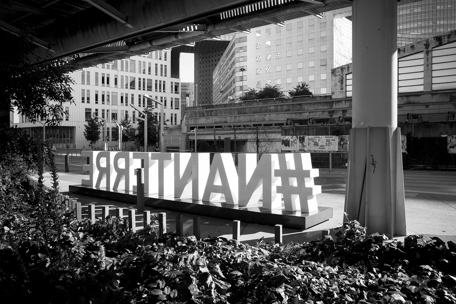 Photo Xavier Lewis