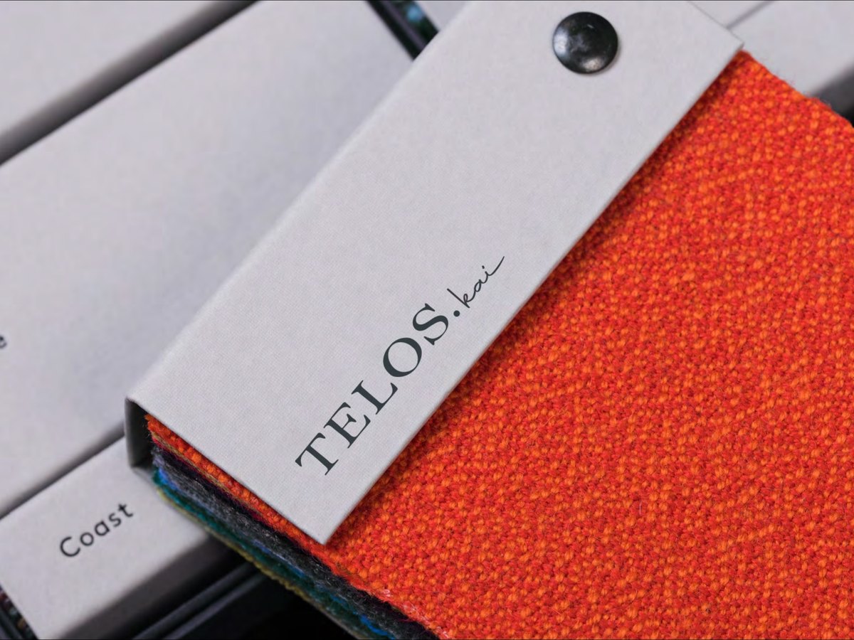 TELOS project image 5