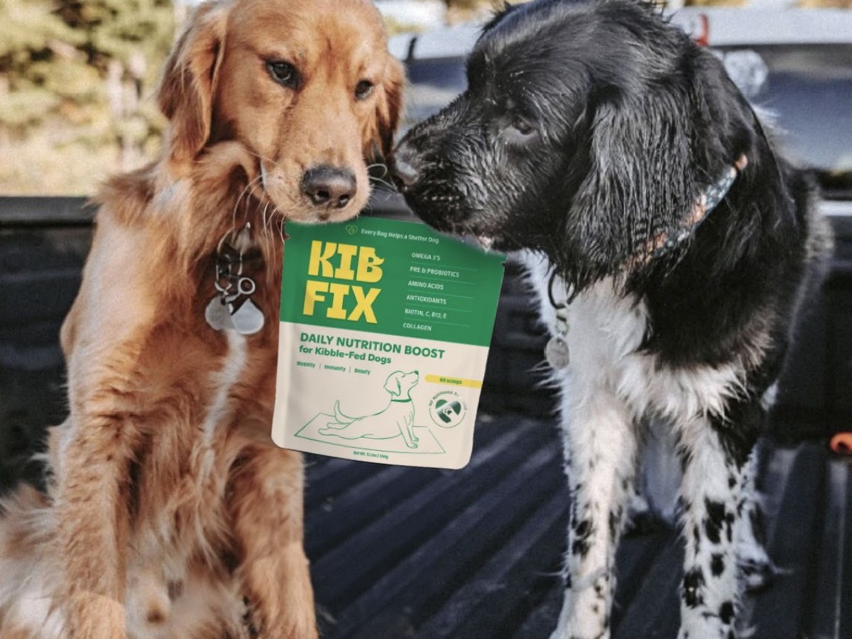 KibFix project image 4