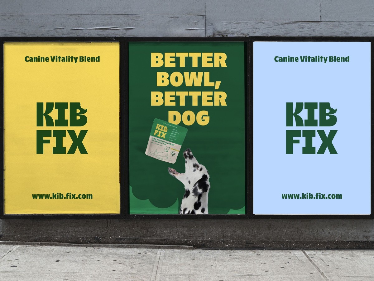 KibFix project image 2