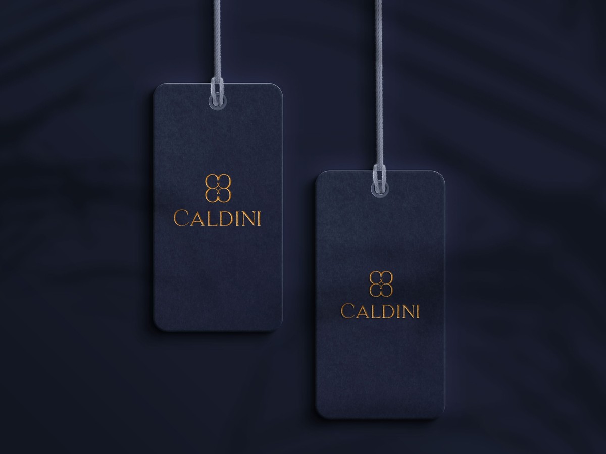 Caldini project image 4