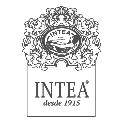 General Manager, Intea Espana