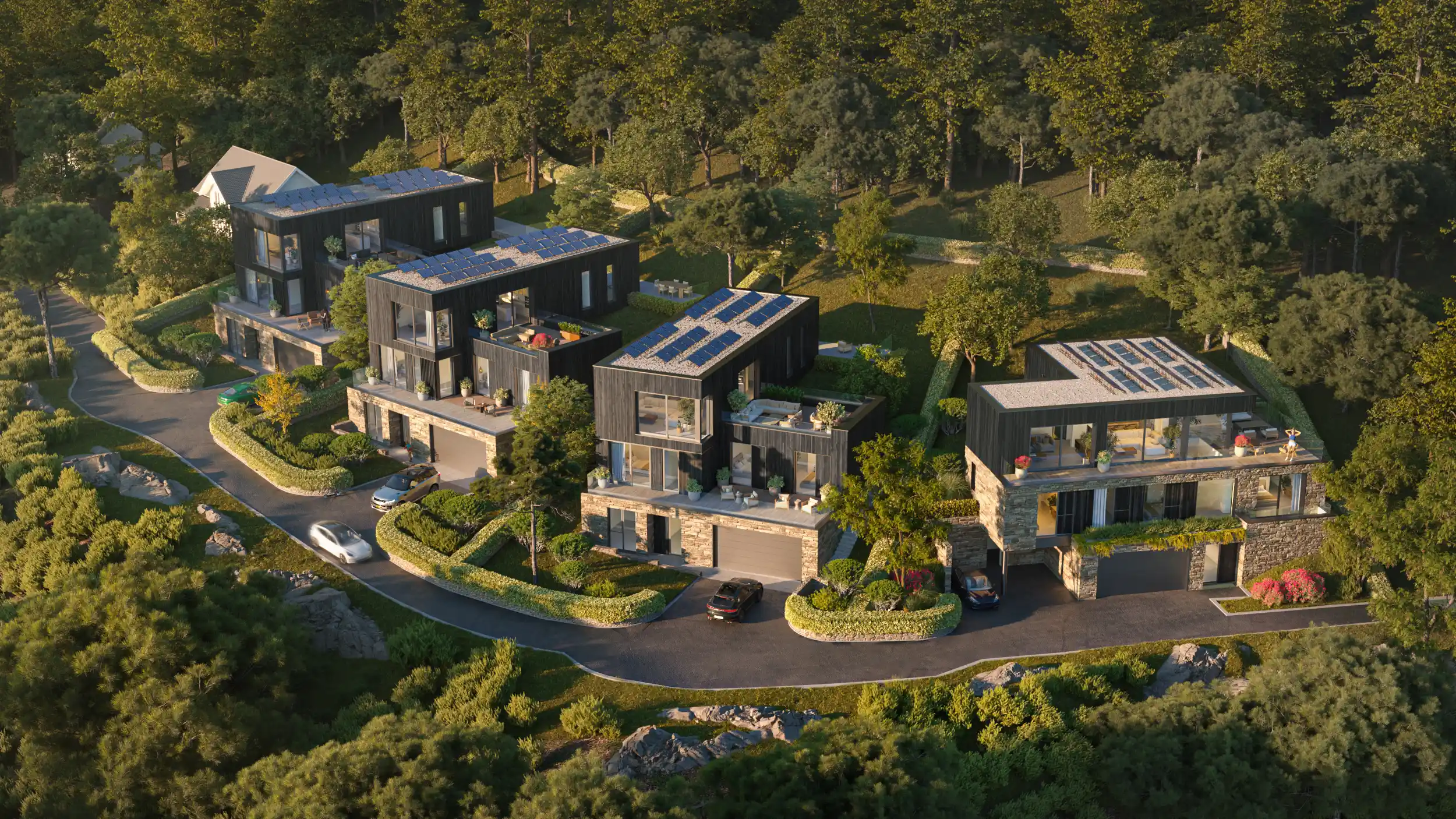 Aerial 3D Rendering--4