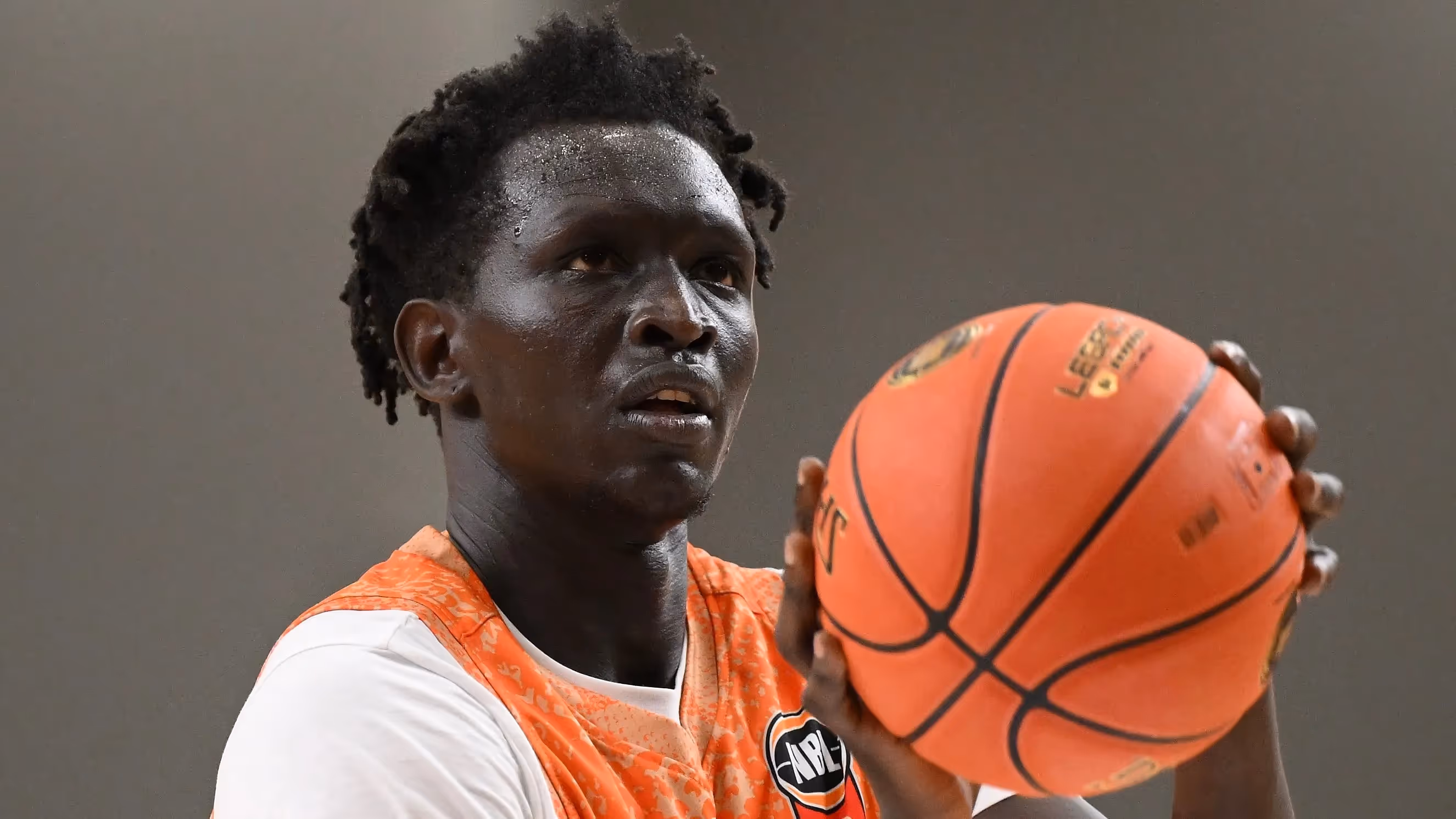 Makoi stood down by Taipans