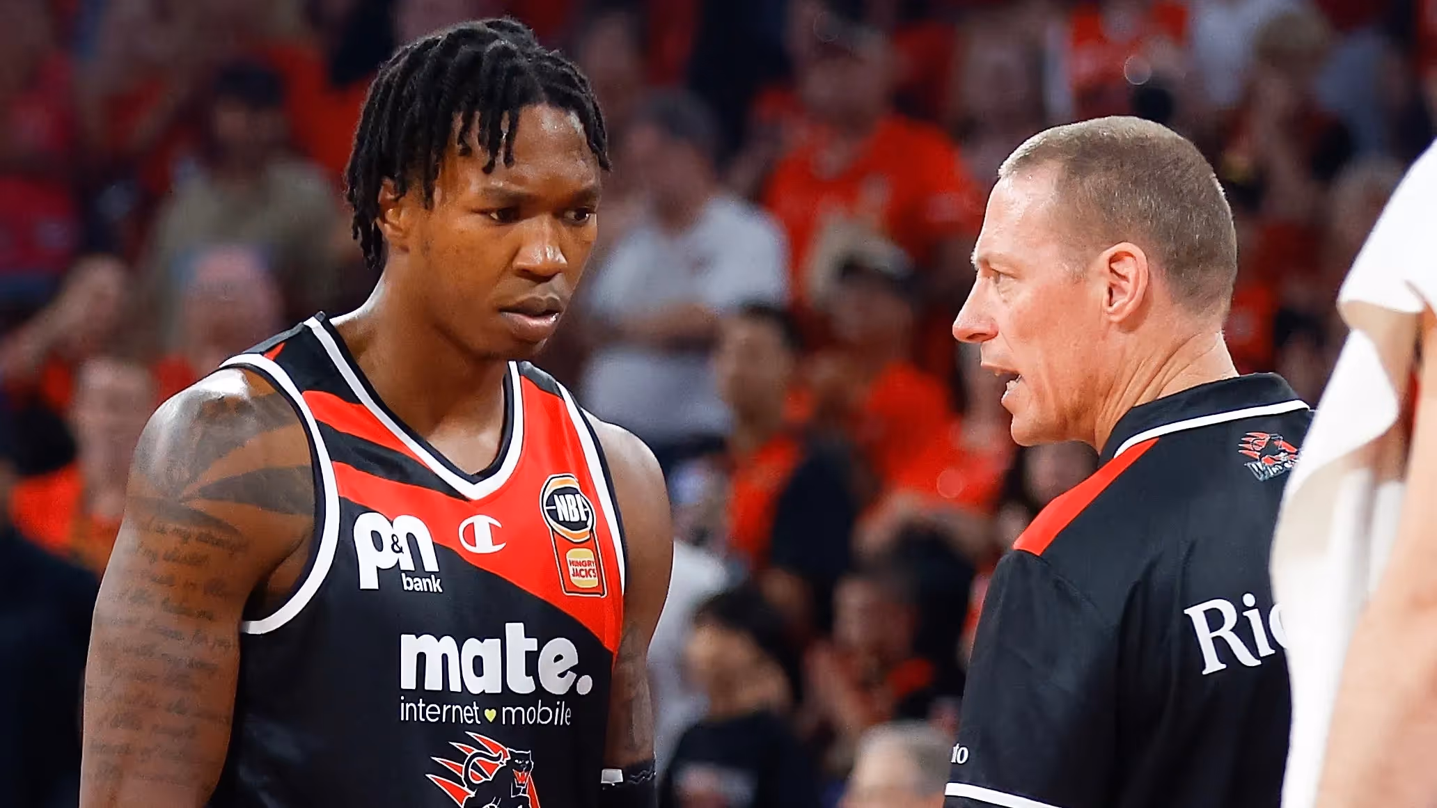 Wildcats to manage Doolittle return