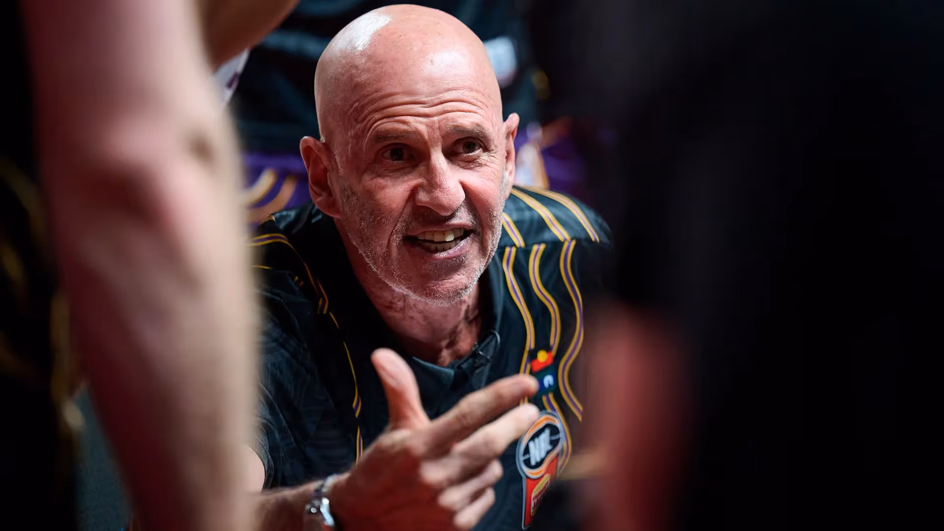 The Kings' Guard: Sydney to sign import