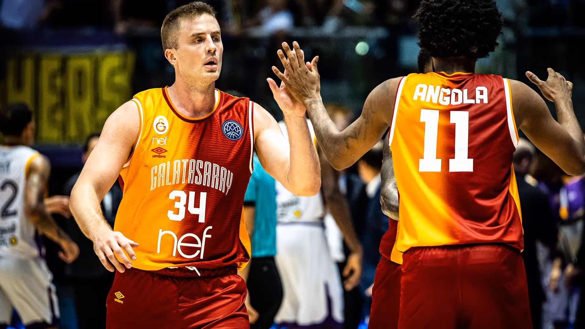 JackJumpers announce new import
