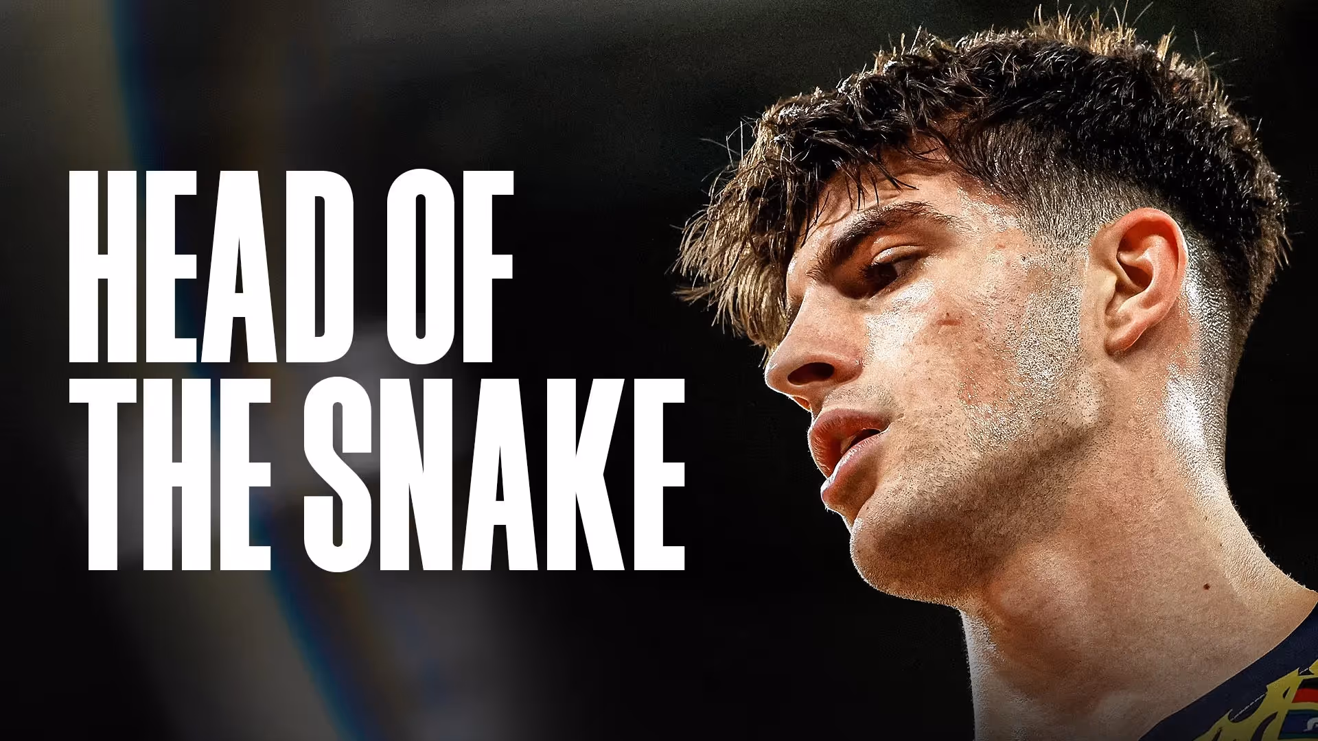 NBL25: Dream Big - The Head of the Snake