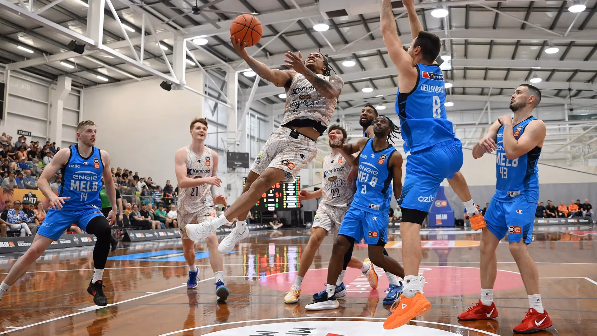 Snakes imports shine but United prevail