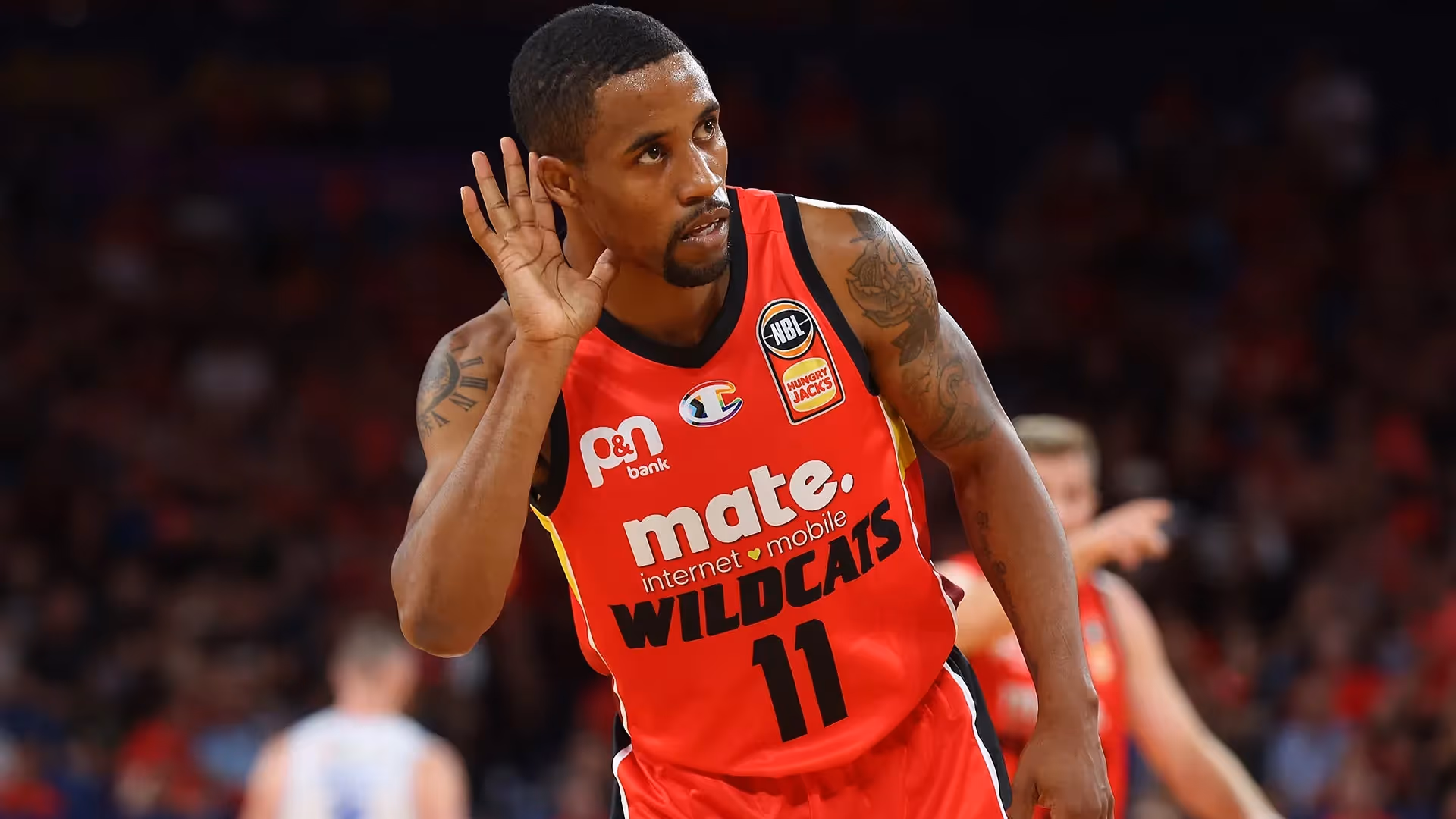 Cotton dominates in Wildcats' final test
