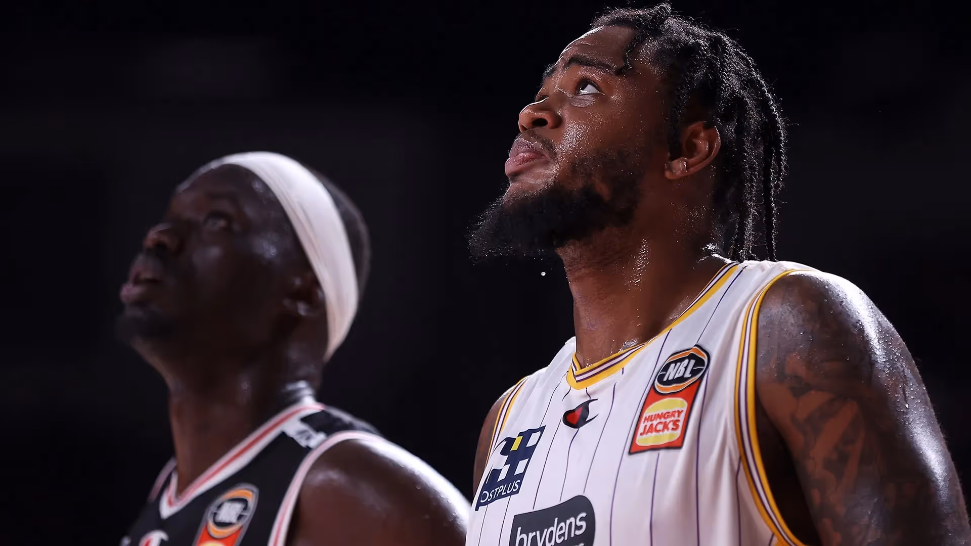 Adelaide import search down to two?