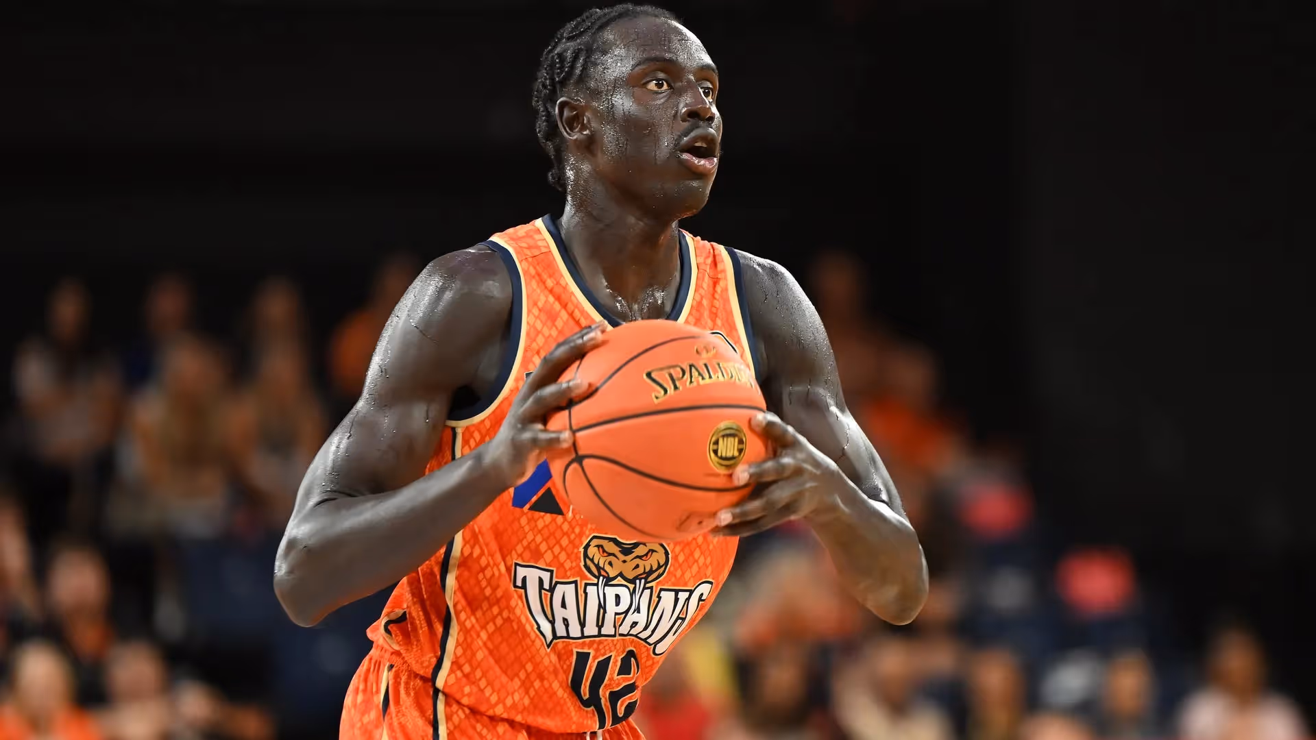 REPORT: Kings continue Goorjian rebuild