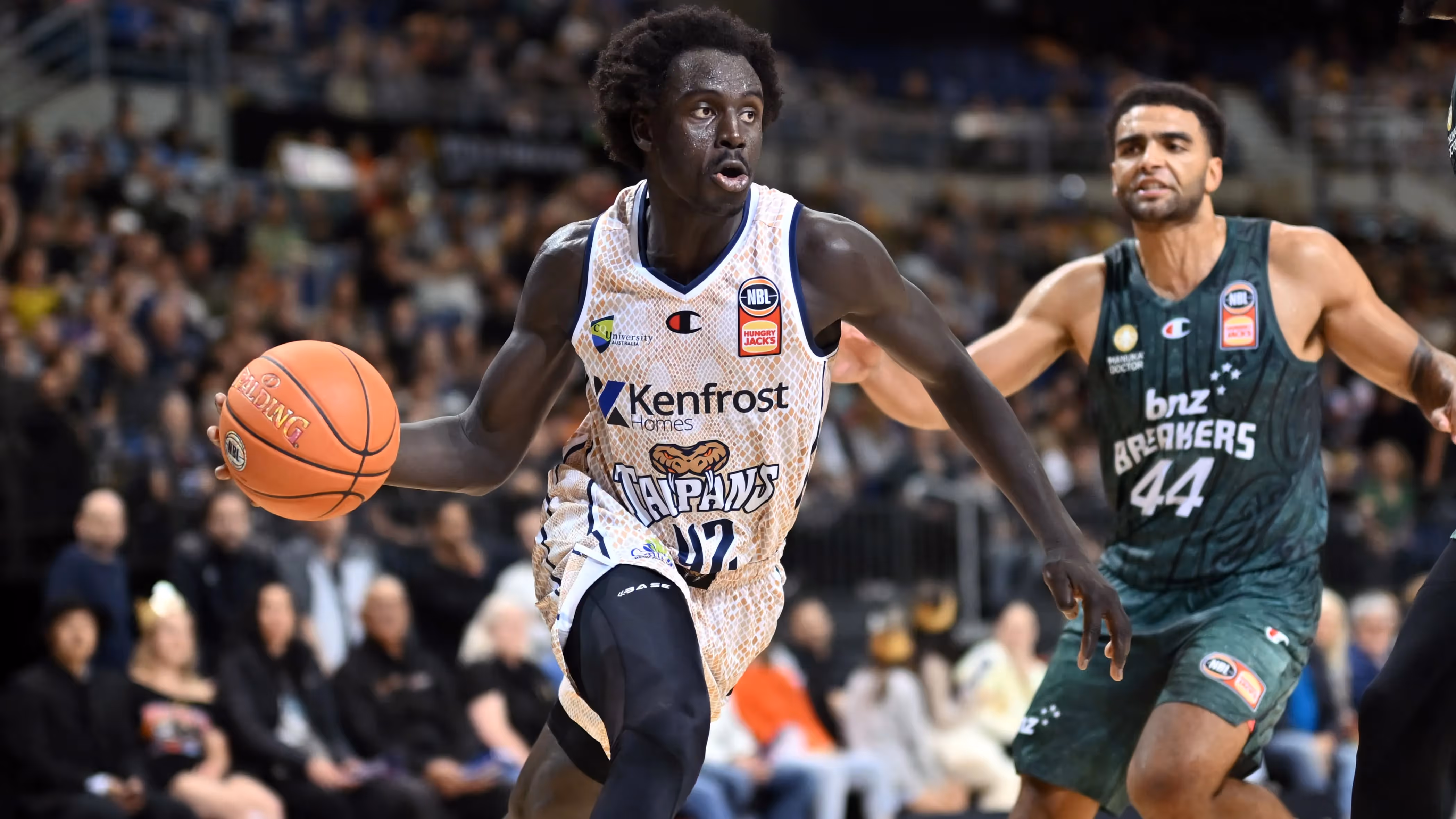 NBL25 Free Agents list revealed