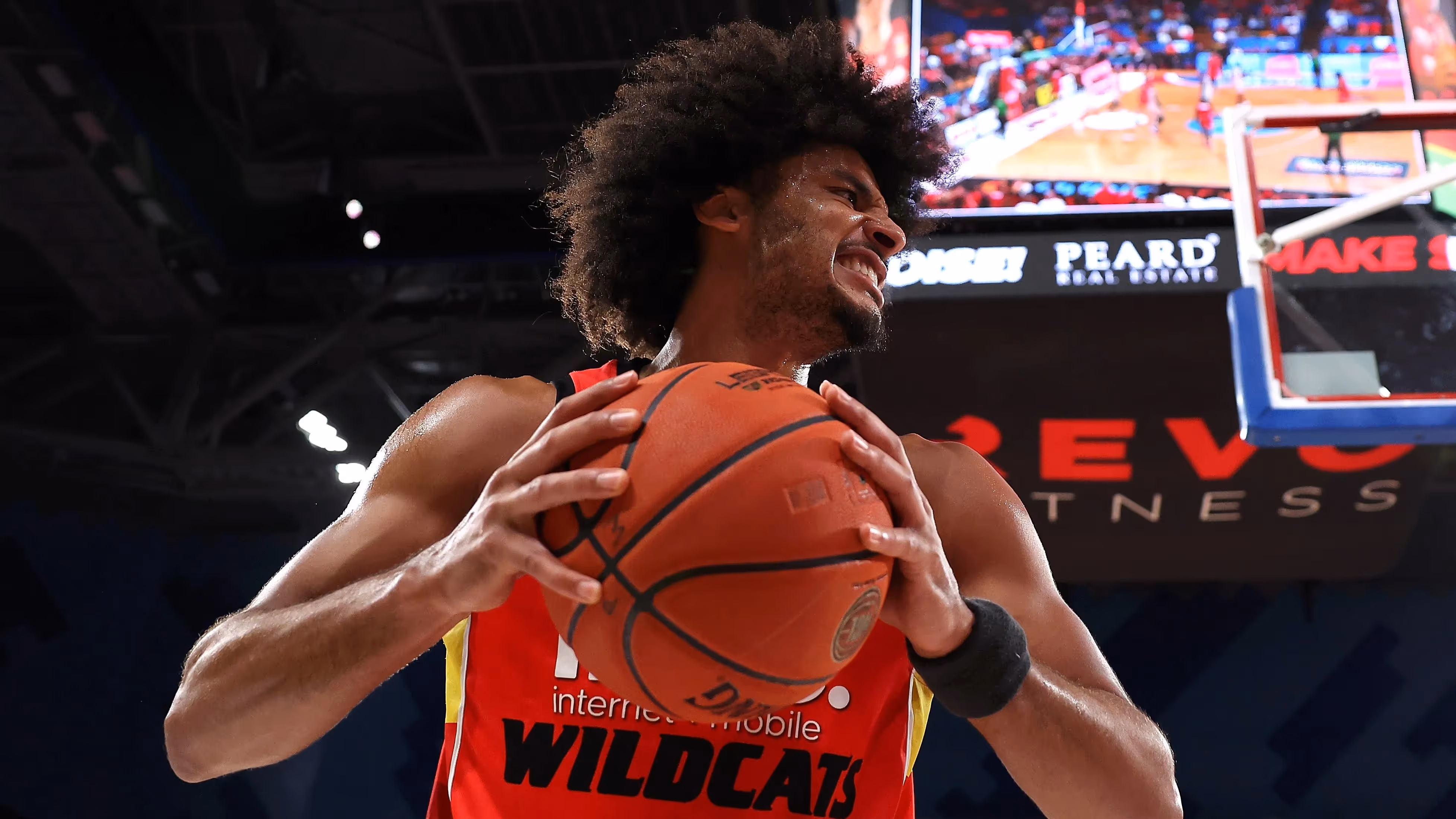 Wildcats lock in top-two spot with win over Taipans