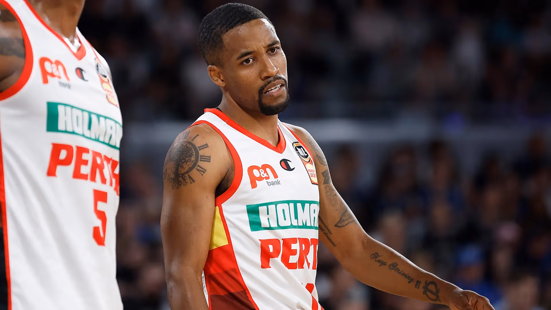 Seething Wildcats to take Taipan revenge