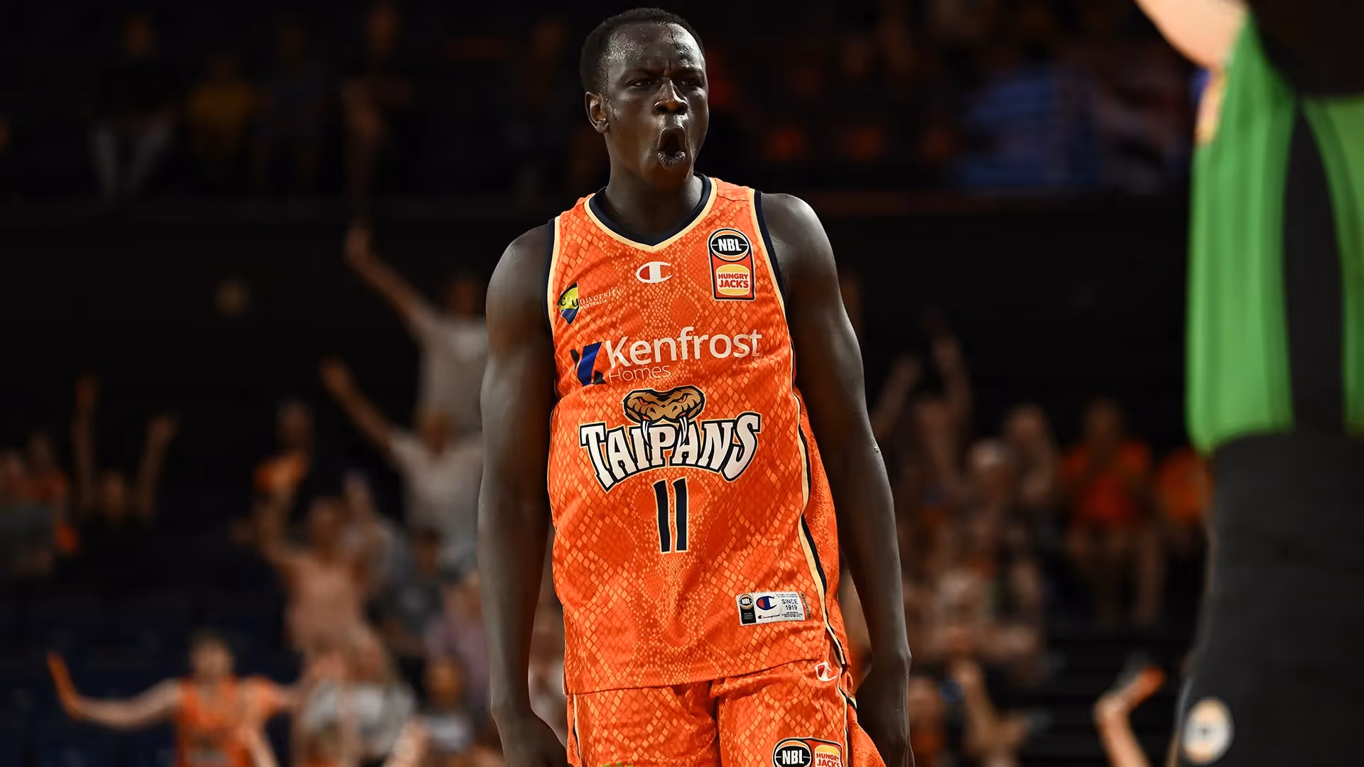 Taipans down Phoenix after tough week in Cairns