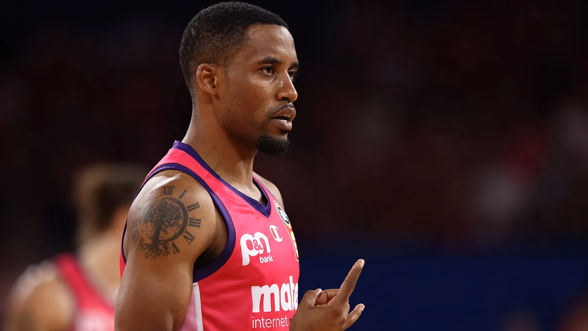 Cotton declares he's back