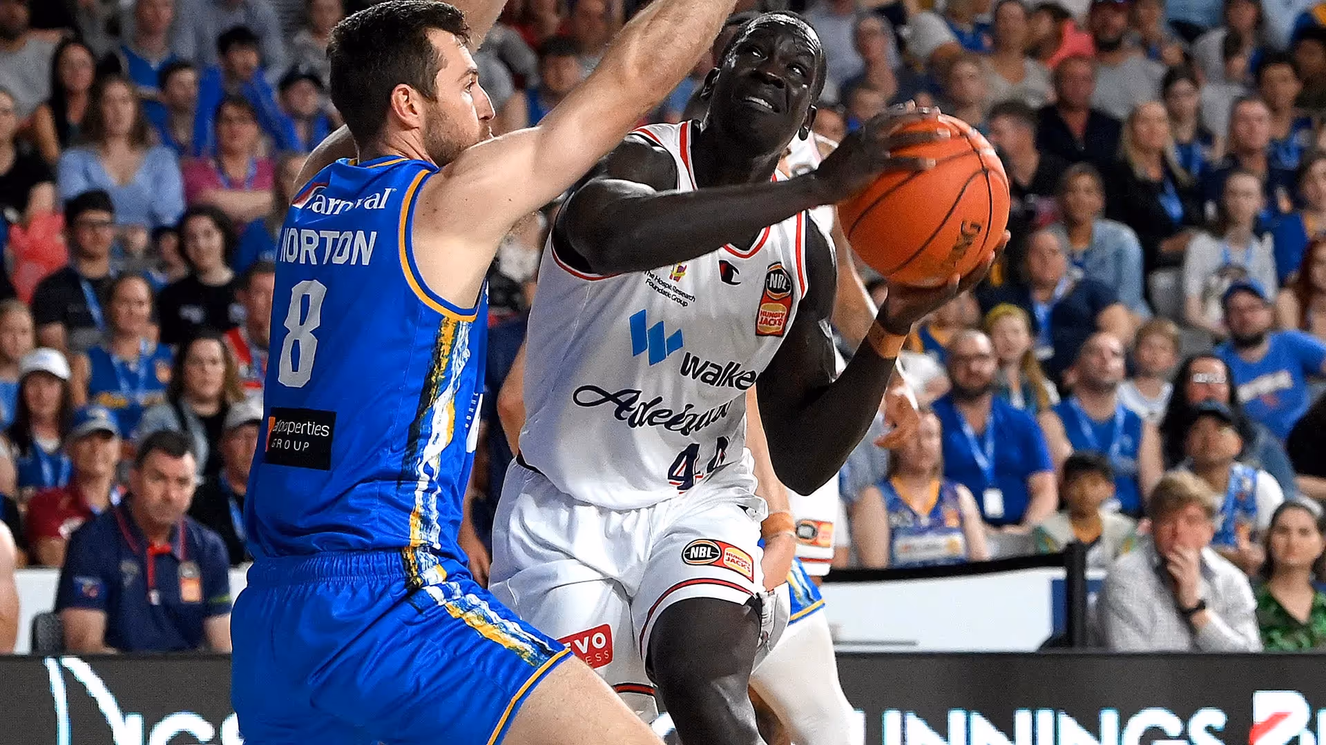 Dech backs Adelaide resurgence
