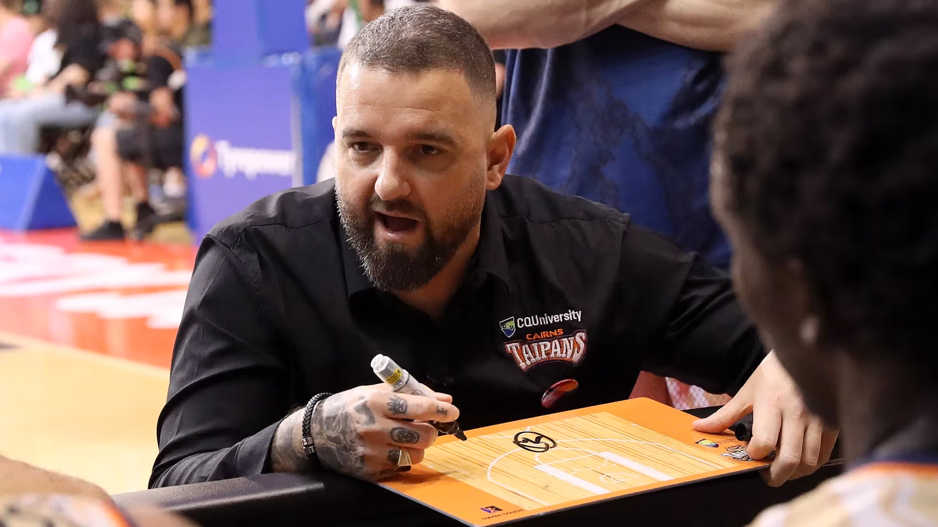 Taipans success no "flash in pan"
