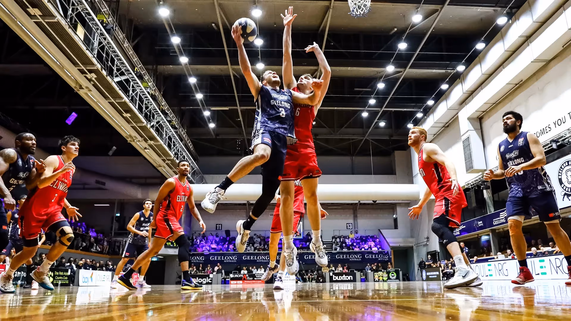 Hadley, Ayre honoured at NBL1 South awards