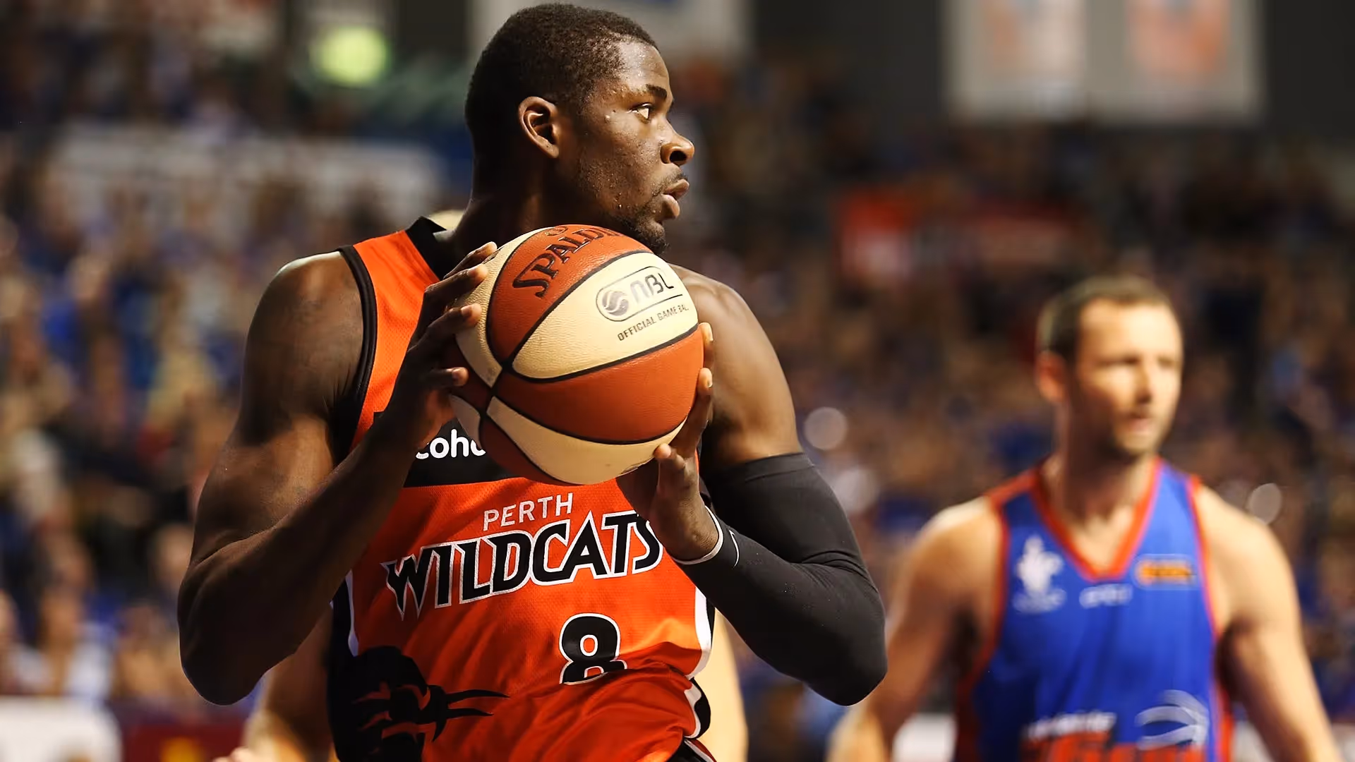 Wildcats Legend's Star Sarr Comparison