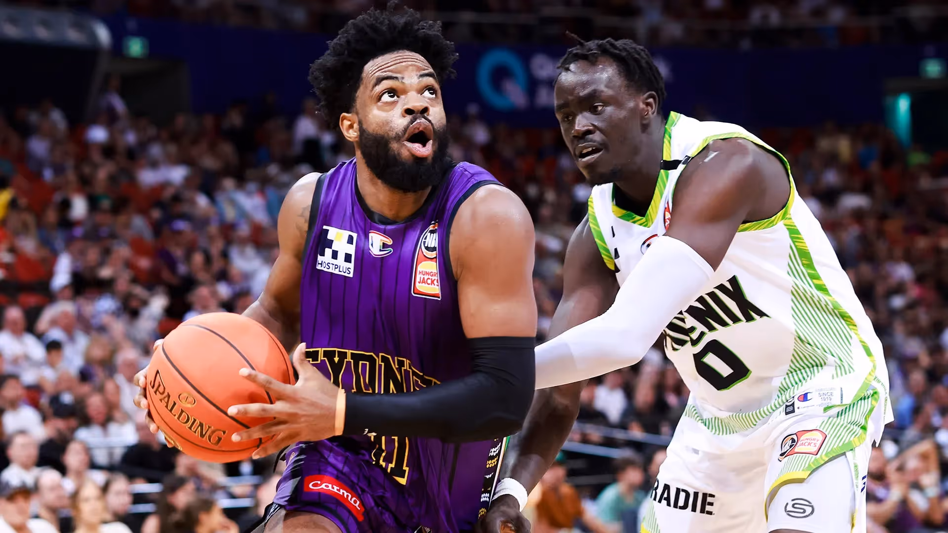 Kings Secure Win 19, Top Spot Near Guaranteed