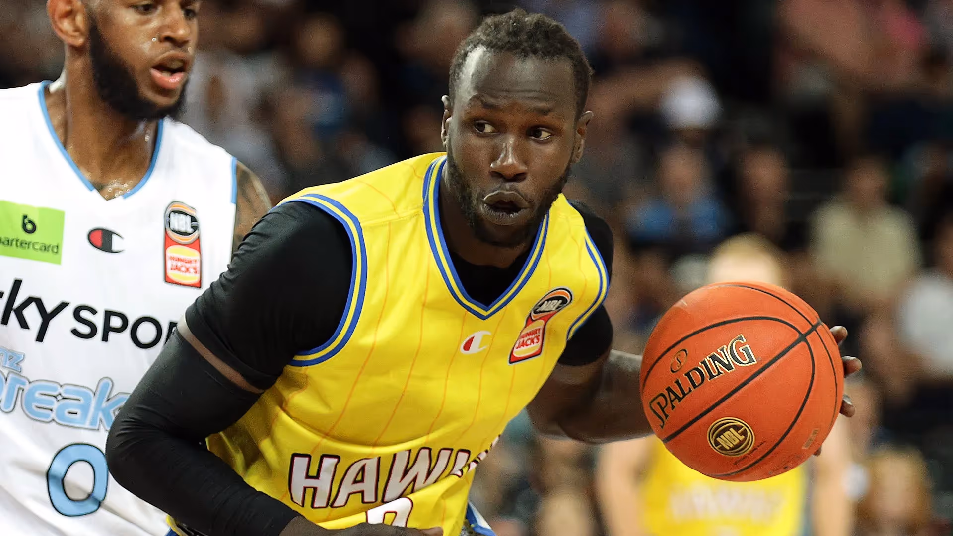 NBL Champion Full of Praise for Plucky Hawks Win
