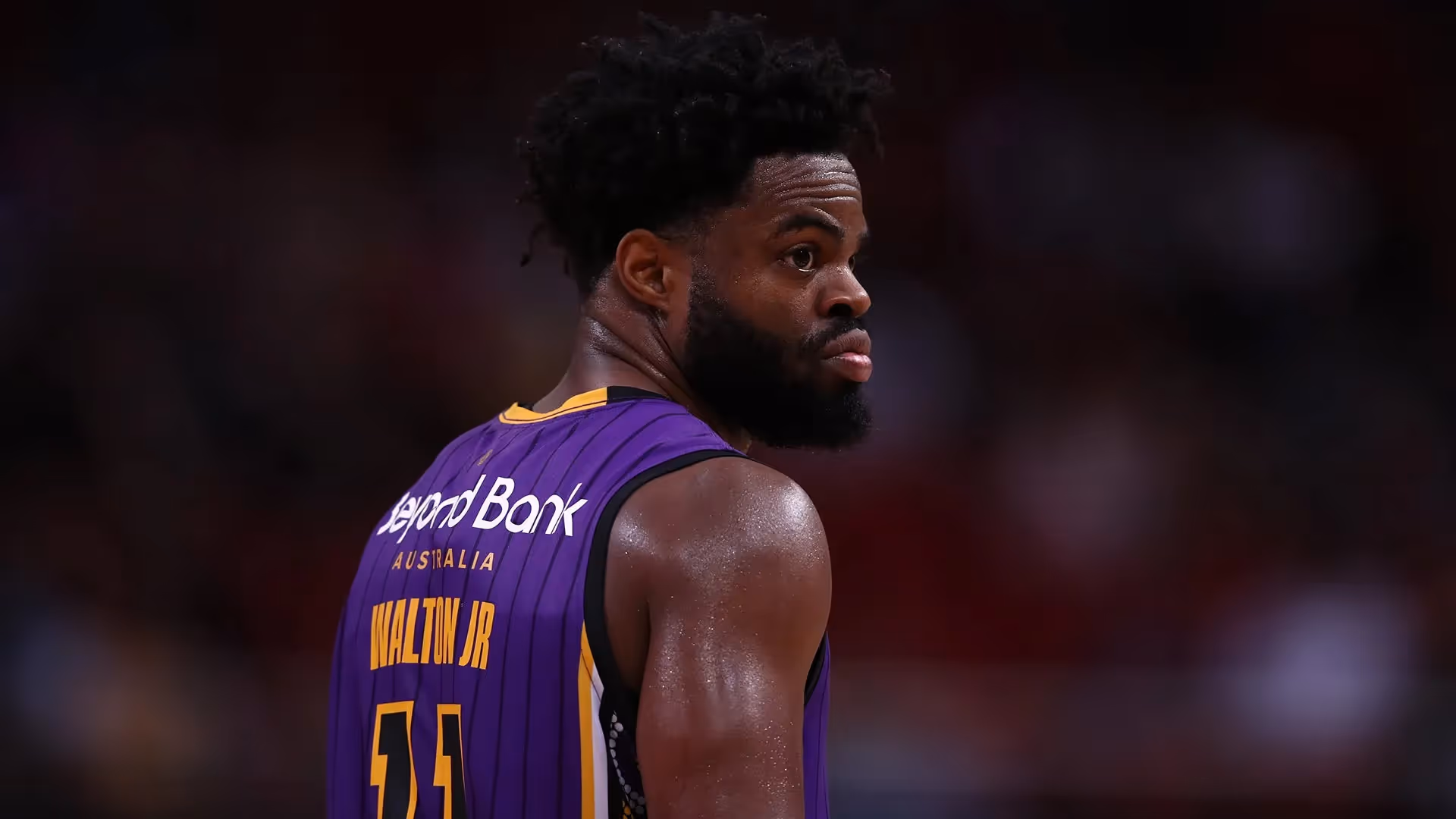 Kings Sweat on Star Import