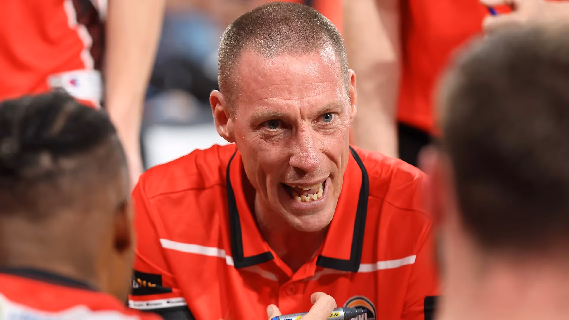Wildcats Wary in Hawks' Nest
