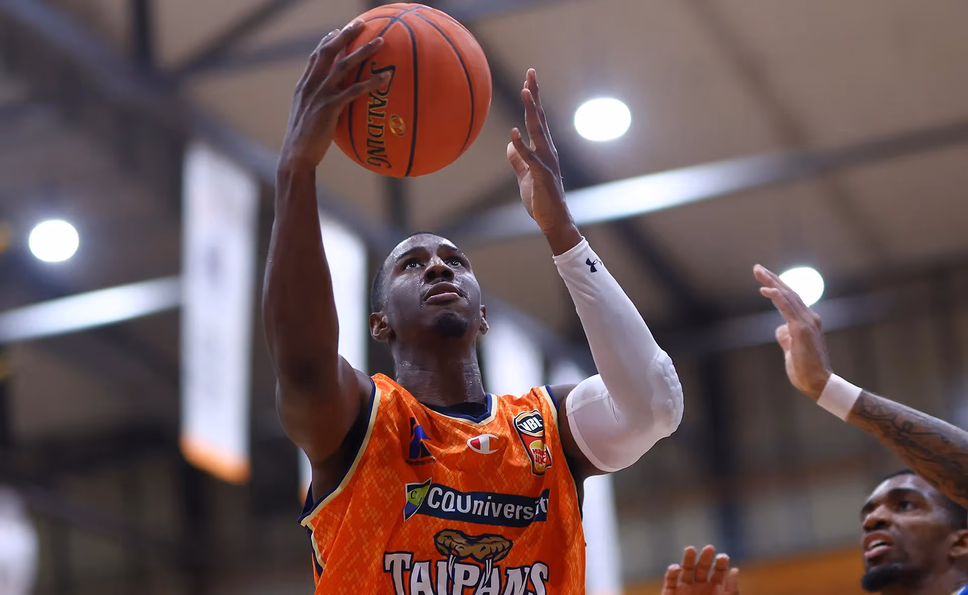 Taipans Time Their Run