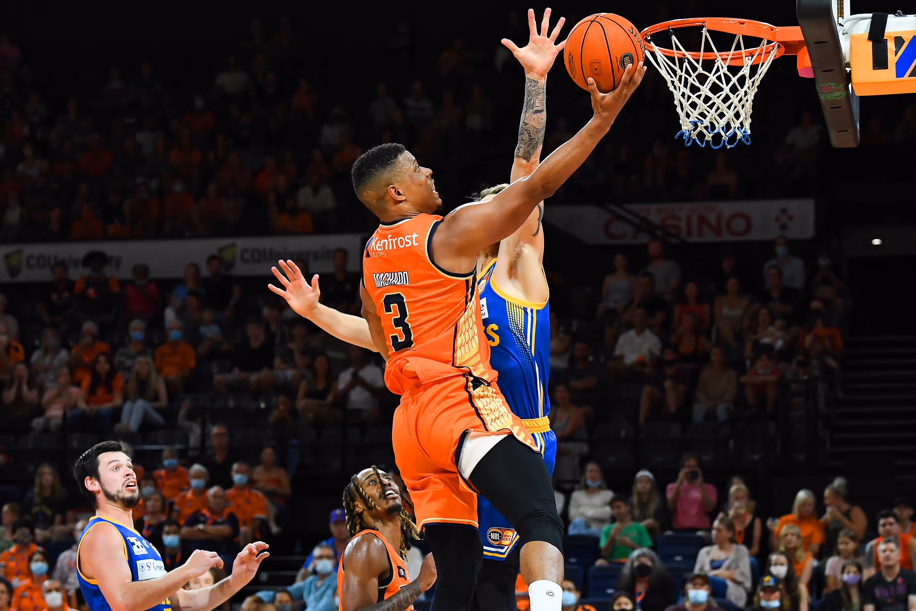 Machado Helps Taipans Sink Bullets