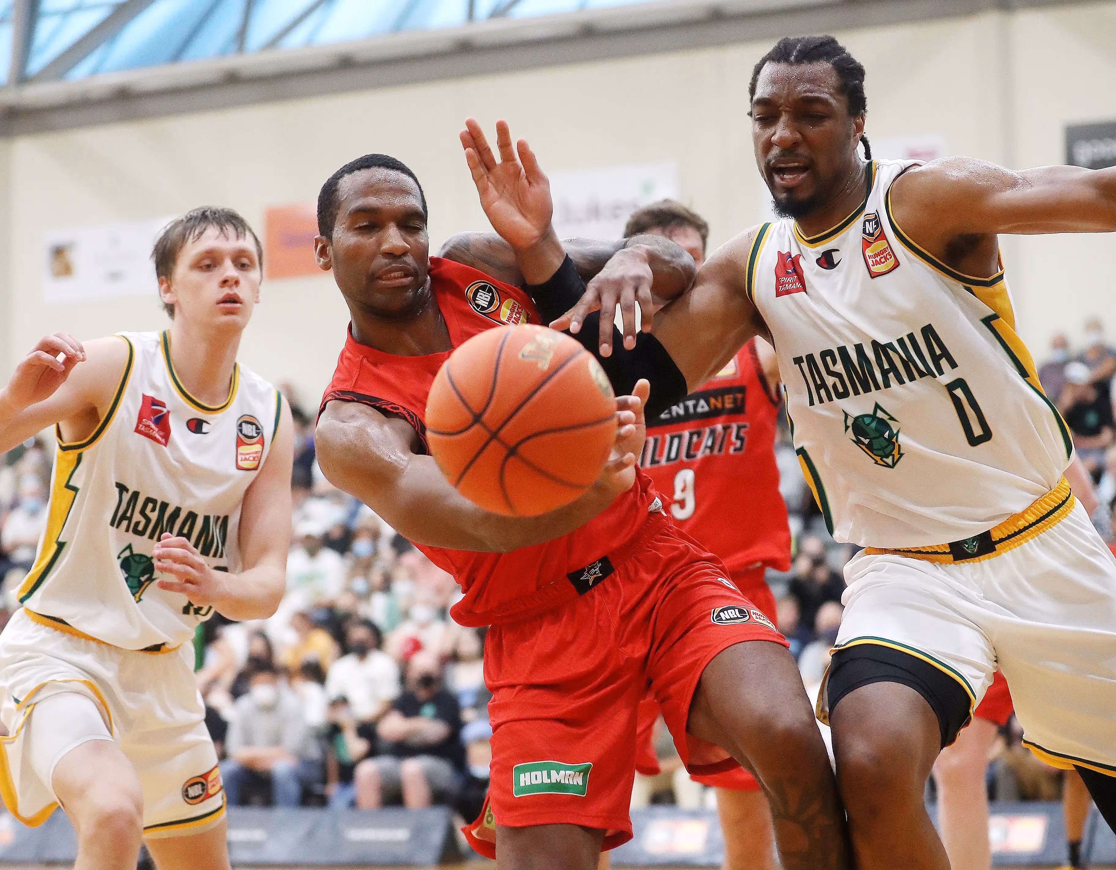 Cotton Signals Intentions as 'Cats Hammer 'Jumpers