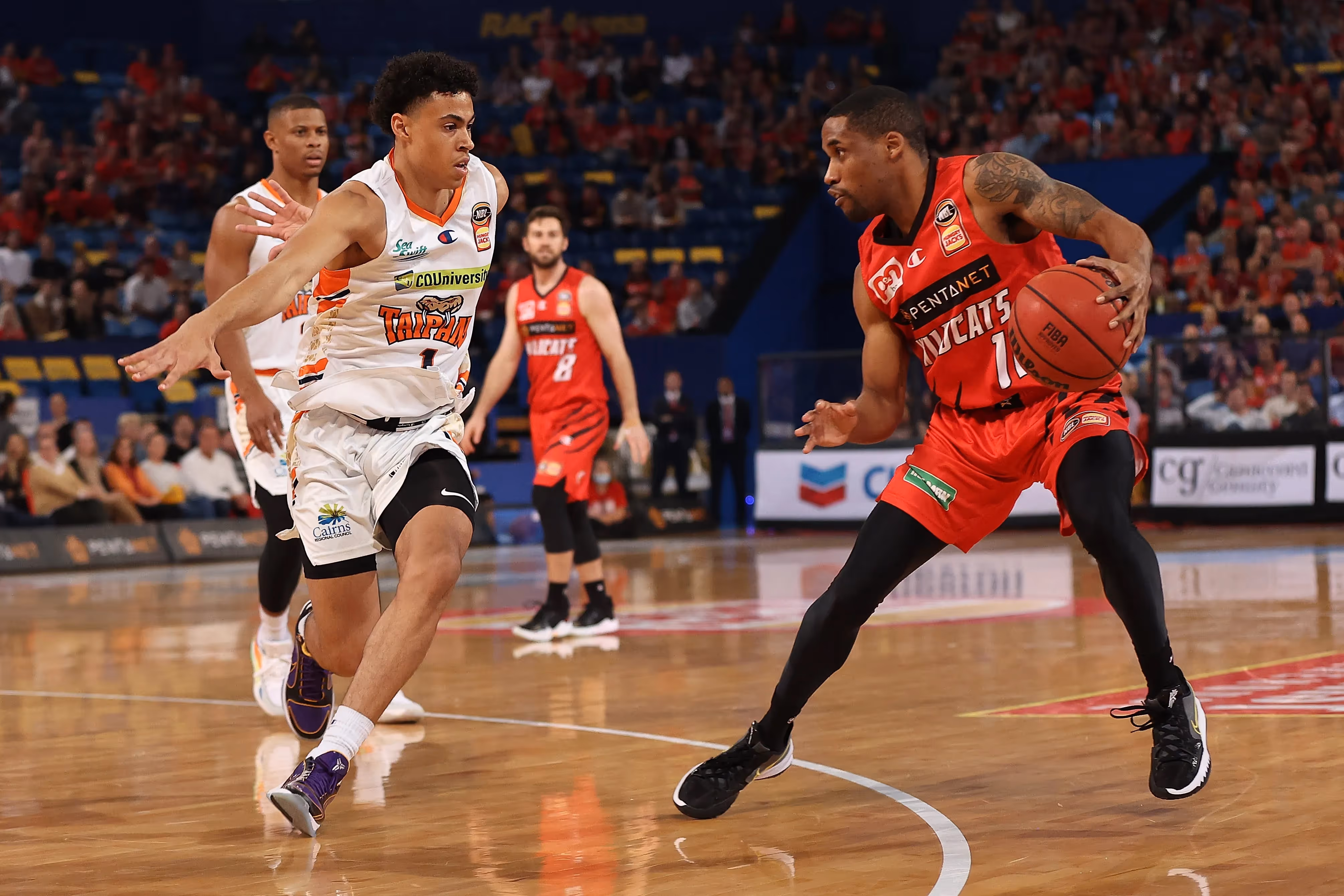 Wildcats blow Taipans away to stay in hunt